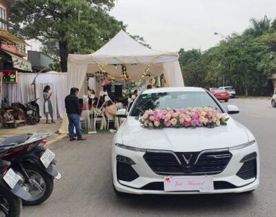 VinFast Lux A2.0 2020