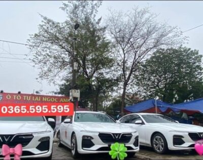 VinFast Lux A2.0 2019